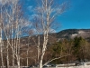 View at Crawford Notch